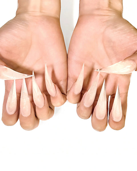 Moonlit Claws