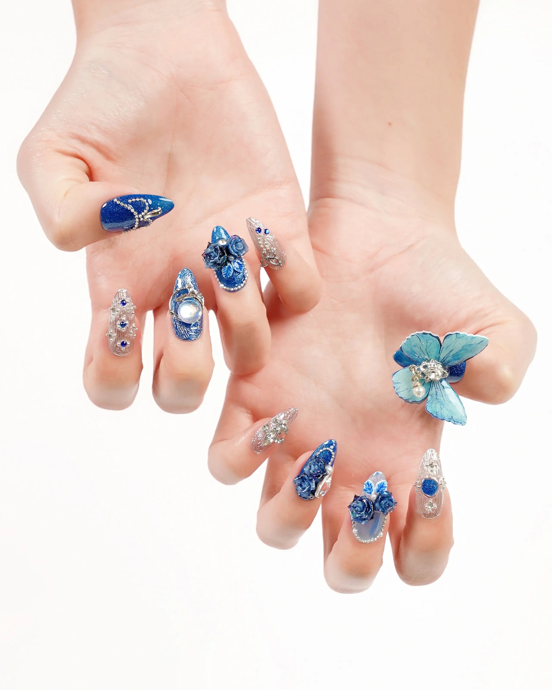 Blue Butterfly