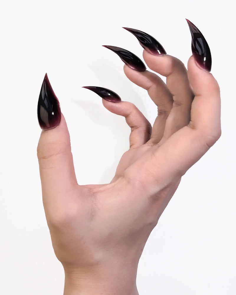 Wine-Tipped Claws